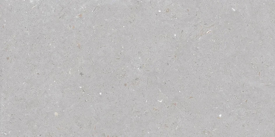 FOSSIL DOVE	