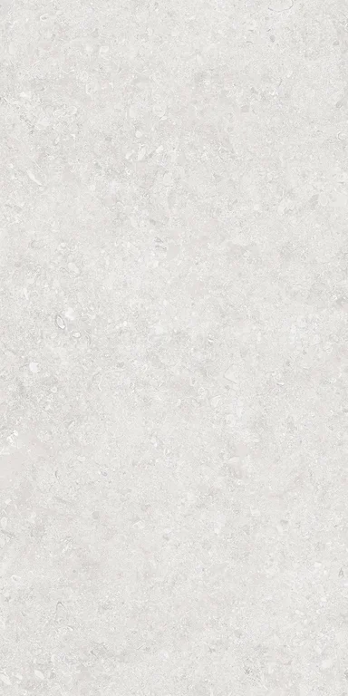 ONEGA SILVER		